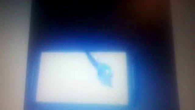 Приколы для ваших котиков смотреть онлайн