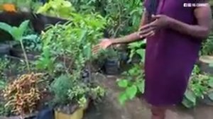 How This Ugandan Turned Her Backyard Into A Thriving Farm | Tiny Space, Big Harvests!!