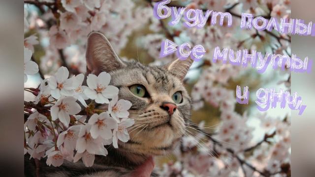 волшебной весны! 🌷🌱😻☀have a magical spring!🌱🌷☀😻