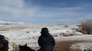 Кыргыз Тайганы, Карышкырга анчылык