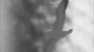 Медленно, медленно... Небо спустилось к нам...