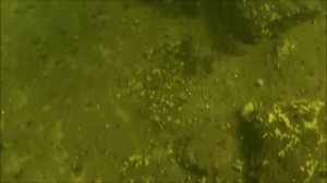 Липецк река Воронеж.mp4
