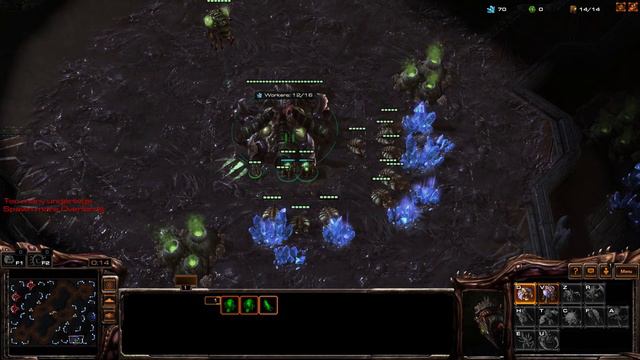 Starcraft 2 with the PRO смотреть онлайн