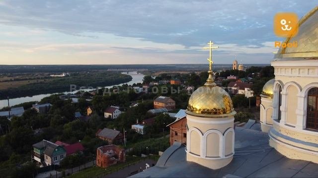 Ветеринар в Кашире: работа о вашем питомце на высшем уровне. Услуги ветеринара на дому .