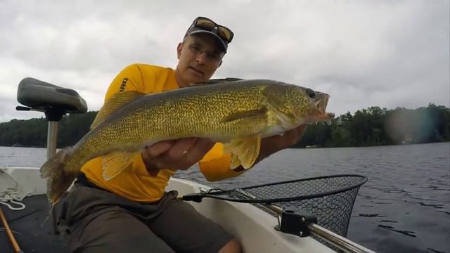 [Top 7] Best Underwater Fishing Cameras Reviews 2021 смотреть онлайн