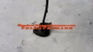 Змея Гадюка кусает человека.