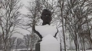 Подпорожье. Аллея героев (8.02.2023).