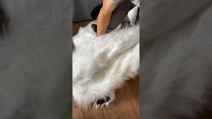 Как надевать костюм медведя? Версия медведя 1.0