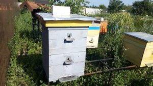 Ганимановская решётка на улье. Стоит ли открывать верхние летки при медосборе.