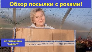 Весна. Апрель. Обзор посылки с розами от питомника ГАРАНТ