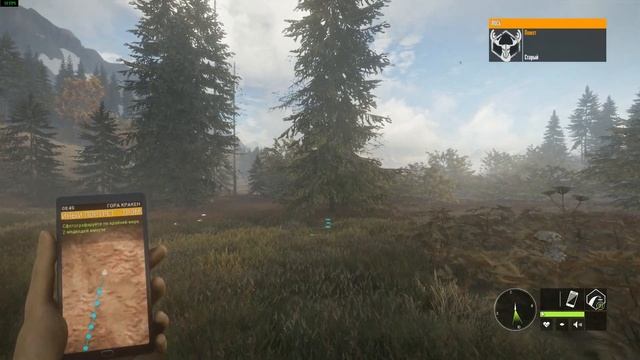 TheHunter Call Of The Wild прохождение. Часть 26 - Охотимся с засидки