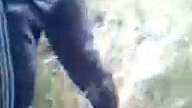 Косилка по татарски смотреть онлайн