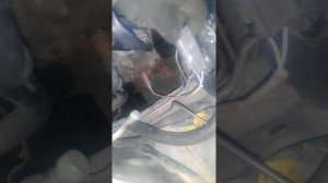 Замена Лямбды-Зонда (кислородный датчик) CEDRIC Y33