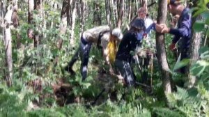 Поход на низинное болото, эпичные погружения. Практика по ботанике МГУ.