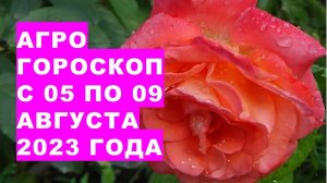 Агрогороскоп с 05 по 09 августа 2023 года. Агрогороскоп з 05 по 09 серпня 2023 року