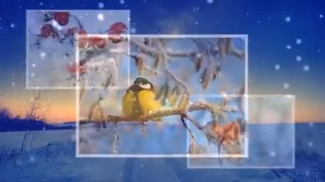 За окном зима морозная...Стихи Ольги Мельничук, муз и исп Самуил Фрумович смотреть онлайн