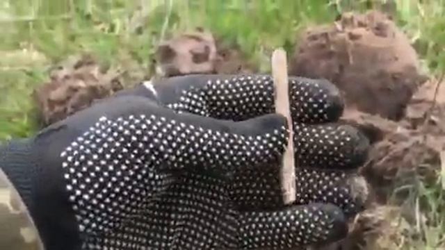 Откопал украинскую гривну литовского типа? смотреть онлайн