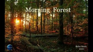 058. Morning Forest (2020).mp4