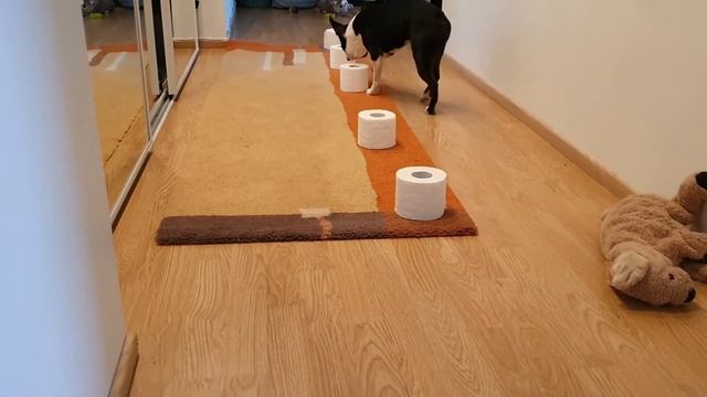 НоузВорк/Изучаем новый запах(деготь)/Первые попытки поиска смотреть онлайн