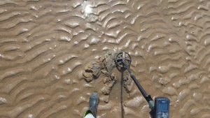Пляжный поиск ЗОЛОТА на острове без КУПЮР, но с МОНЕТАМИ! Металлопоиск с Deus 2