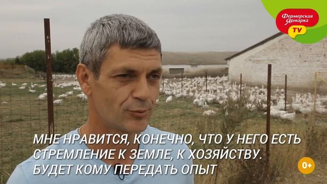 Экскурсия по гусиной ферме Николая Шевцова