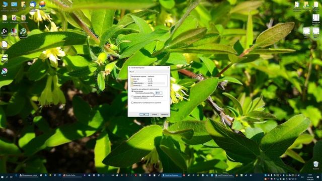 Пользуйтесь корзиной — примитивный совет по Windows 10