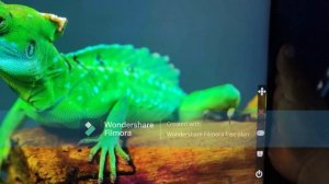 MONITOR ASUS TUF GAMING VG249QM1A 240HZ OC 270HZ