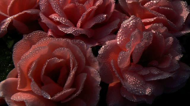 Слушать новую русскую музыку для сна онлайн смотреть онлайн