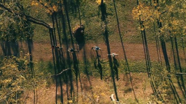 La Casarsa natìa di Pier Paolo Pasolini riscoperta da Roberto Carnero смотреть онлайн