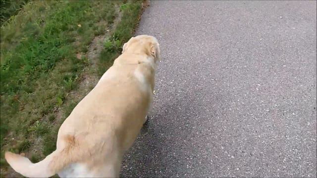 Счастье за поворотом смотреть онлайн