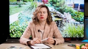 Как спланировать участок 6 соток - сам себе дизайнер. Ландшафтный дизайн на участке 6 соток.