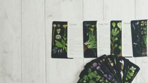 50 Plants that Heal - The Card Deck