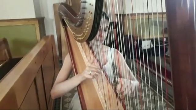 CHORZÓW-ORGANISTA,SKRZYPCE,wokalistka na ślub,skrzypce,6o1-715-889-oprawa muzyczna ślubu смотреть онлайн