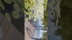 Русская рыбалка Губерля