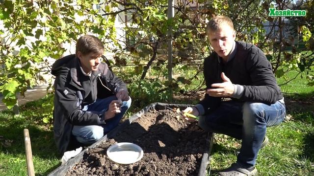 Секреты посадки чеснока под зиму. смотреть онлайн