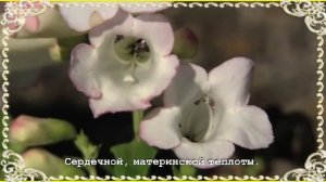 ПОЛЬ МОРИА - МАМА