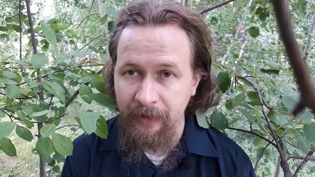 ПОМИМО ВОЛИ