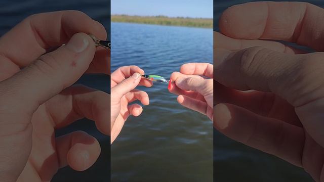 🎣 Просто очень хорошая блесна для успешной рыбалки - AQUA Нерка!