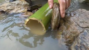 Primitive life - Smart girl skills build fish trap by bamboo tube catch a lot of fish for survival