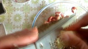 Правильный способ приготовления свиной рульки(не жарю, не копчу, не отвариваю) ??!!!