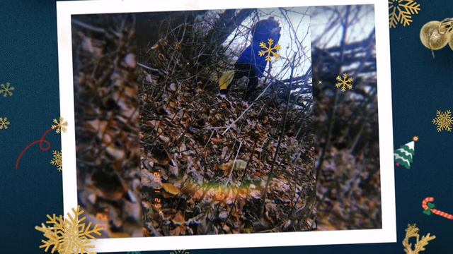 Песня xsergo-девочка не плачь смотреть онлайн