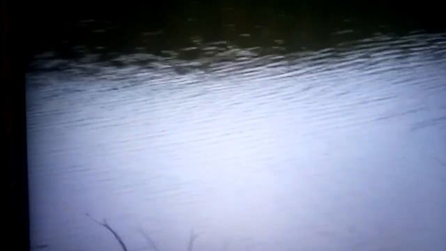 Егорка Гришин поймал щуку большую на реке. смотреть онлайн