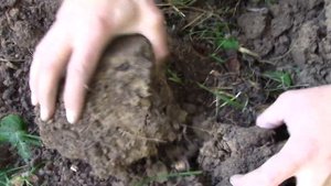 Коп на месте цыганского табора с Bounty Hunter Quick Draw Pro