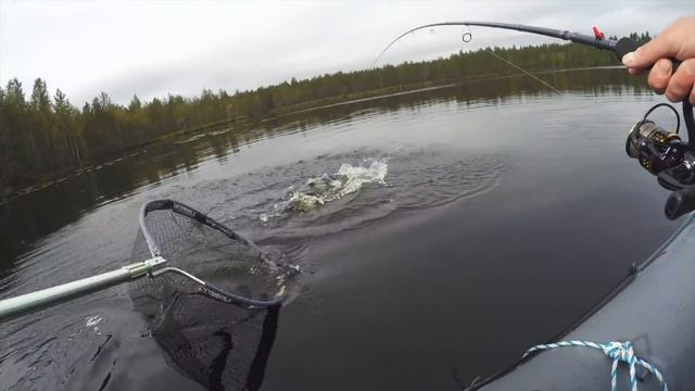 Ловля голодной щуки осенью. Рыбалка с надувного каяка. Kajakkikalastus syksyllä. Kayakfishing.