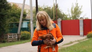 Отзыв Клиента о покупке куриц в Nesushki.ru