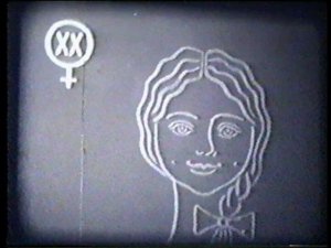 Хромосомы и индивидуальное развитие организма