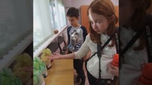 опыт поглощение воды растениями