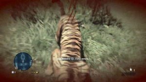 Far Cry 3 (5)