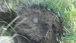 Небольшой выезд с Ноктой Импакт, плюс приятные находочки!!!