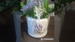 Фикс Прайс. Новинки. Коллекция Лаванда и декоративные товары на моей кухне.